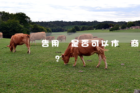 廣告用語是否可以作為商標注冊和受到保護？